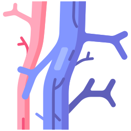 tratamiento a varices